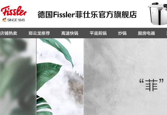 fissler