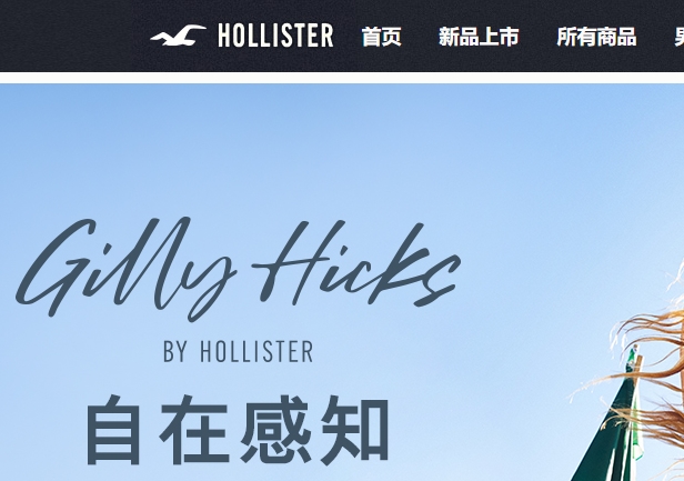 hollister官网